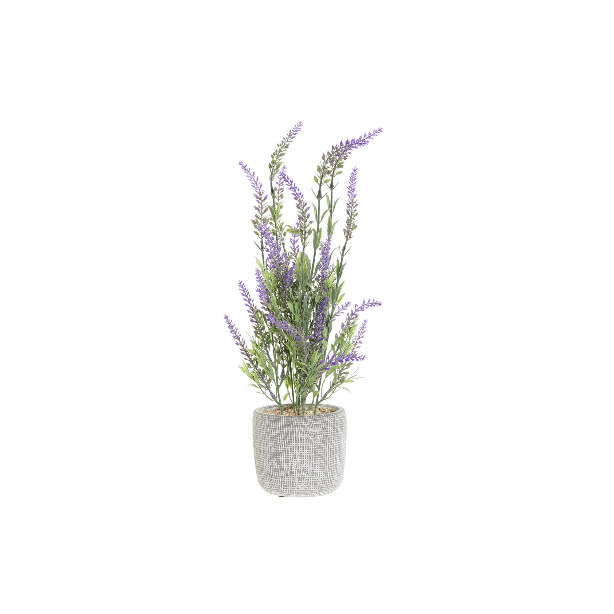 Decoración: PLANTA LAVANDA LILA